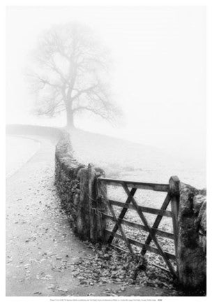 Cumbria Mist