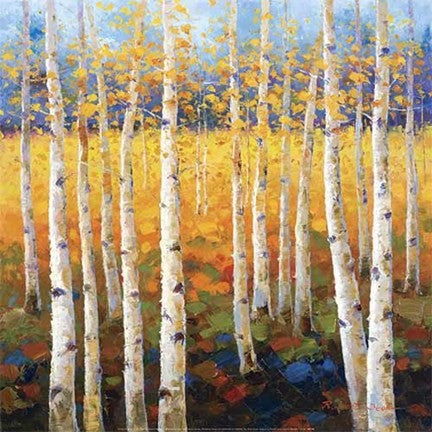 Birch Forest