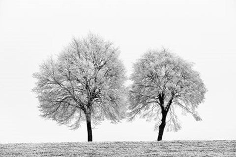 First Snow