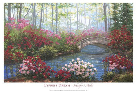 Cypress Dream