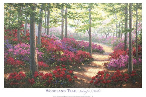 Woodland Trail