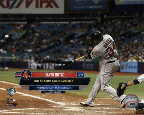 David Ortiz hits his 500th career MLB home run on September 12, 2015 at Tropicana Field