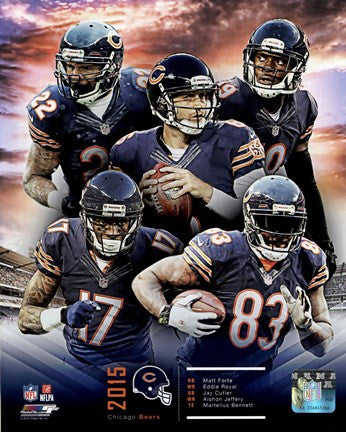 Chicago Bears 2015 Team Composite