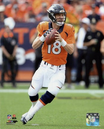 Peyton Manning 2015 Action