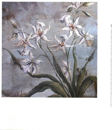 Orchid Study In White