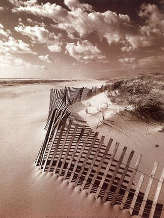 Klug Beach Fence