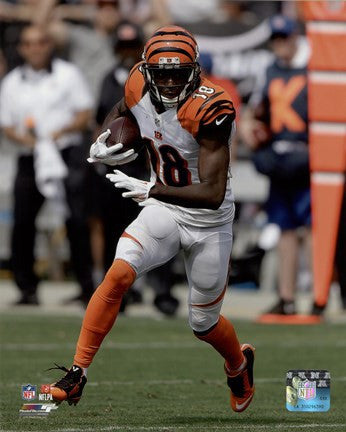 A.J. Green 2015 Action