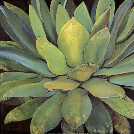 Agave