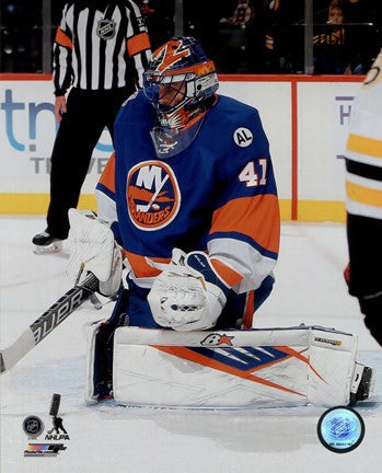 Jaroslav Halak 2015-16 Action