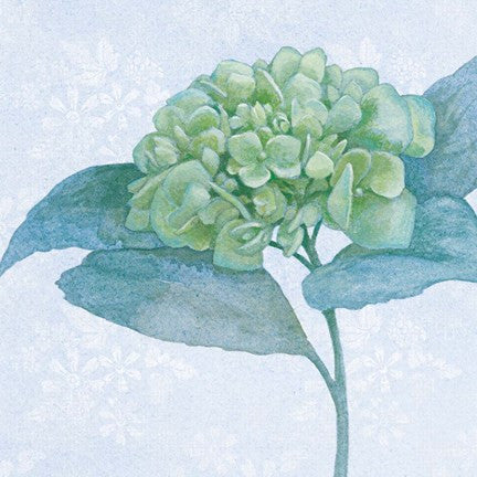 Blue Hydrangea II