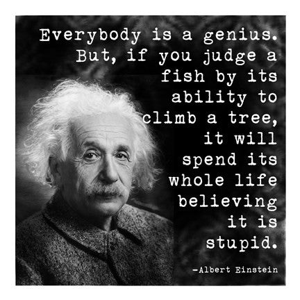 Albert Einstein Genius Quote