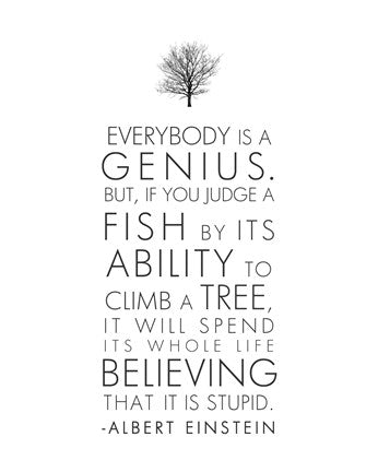 Everybody is a Genius