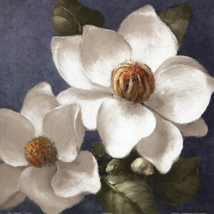 Magnolias on Blue II