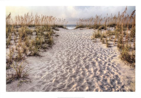 Path To The Beach