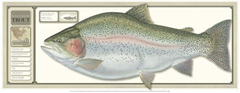 World Record Rainbow Trout