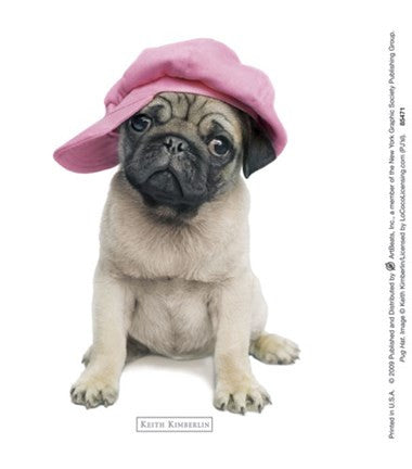 Pug Hat