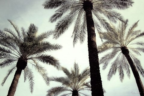 Palm Two