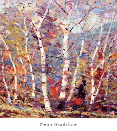 Birch Colors 2