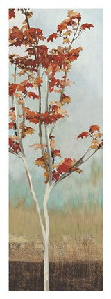 Maple Tree II