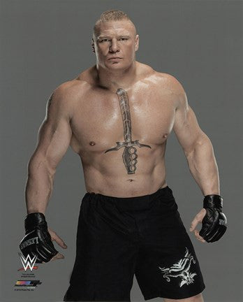 Brock Lesnar 2016 Posed