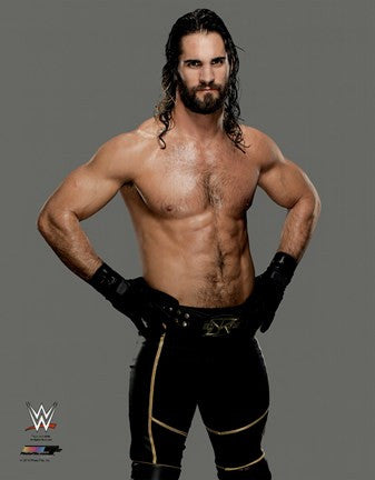 Seth Rollins 2015 Posed