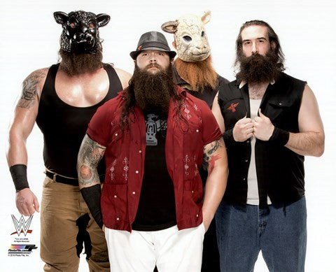 The Wyatt Family 2016 Posed