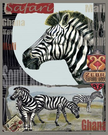 Zebra Safari