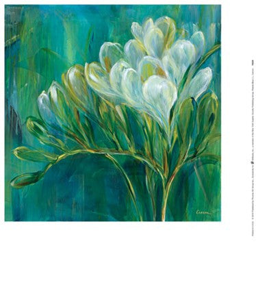 Freesia Blues I