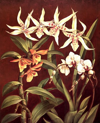 Orchid Trio I