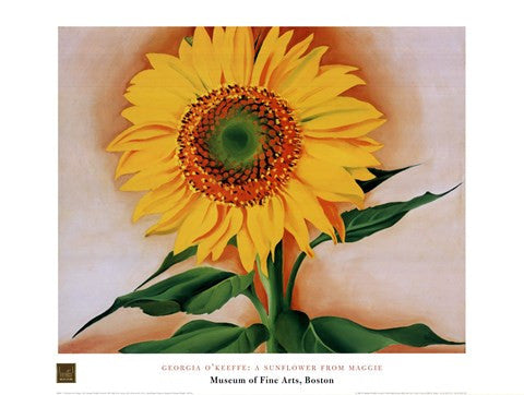 A Sunflower from Maggie, 1937