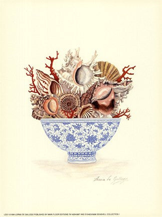 Seashell Collection I