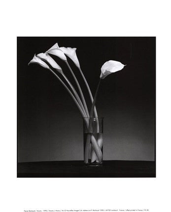 Arums 1990