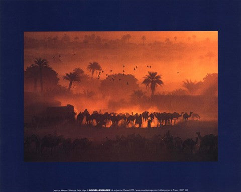 luc Manaud - Oasis de Fachi, Niger