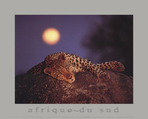 Leopard with Rising Moon