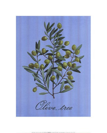 Olive Tree